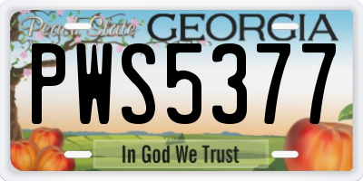 GA license plate PWS5377