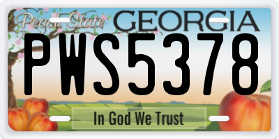 GA license plate PWS5378