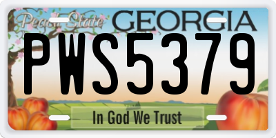 GA license plate PWS5379