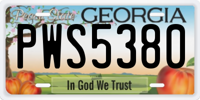 GA license plate PWS5380