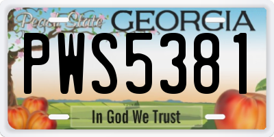 GA license plate PWS5381