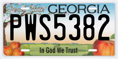 GA license plate PWS5382