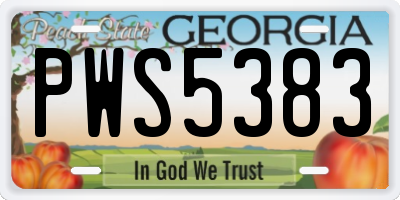 GA license plate PWS5383