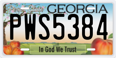 GA license plate PWS5384