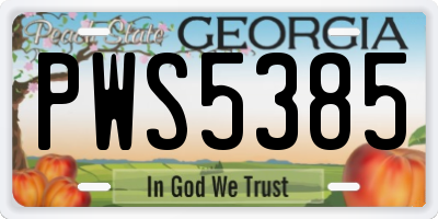 GA license plate PWS5385
