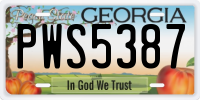 GA license plate PWS5387