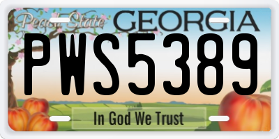 GA license plate PWS5389