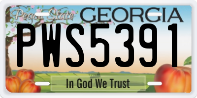 GA license plate PWS5391