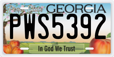 GA license plate PWS5392
