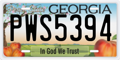 GA license plate PWS5394