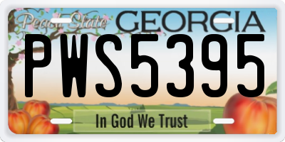 GA license plate PWS5395