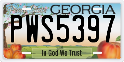 GA license plate PWS5397