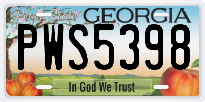 GA license plate PWS5398