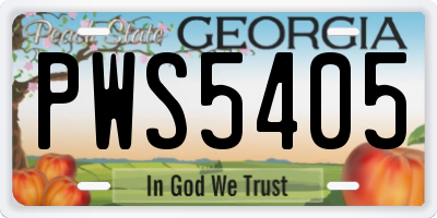 GA license plate PWS5405