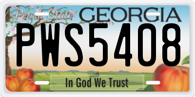 GA license plate PWS5408