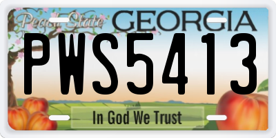 GA license plate PWS5413