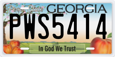 GA license plate PWS5414