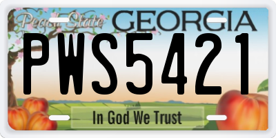GA license plate PWS5421
