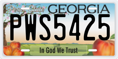 GA license plate PWS5425