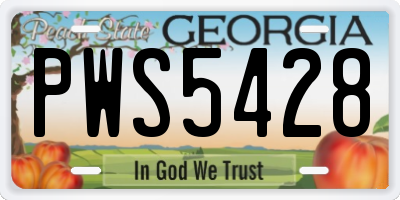 GA license plate PWS5428