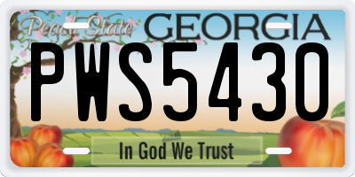 GA license plate PWS5430