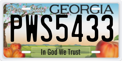 GA license plate PWS5433
