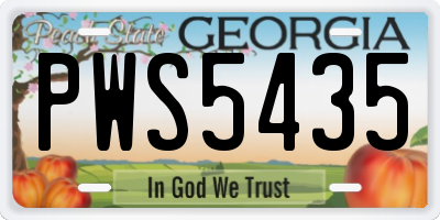 GA license plate PWS5435