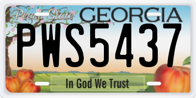 GA license plate PWS5437