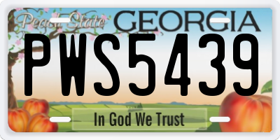 GA license plate PWS5439