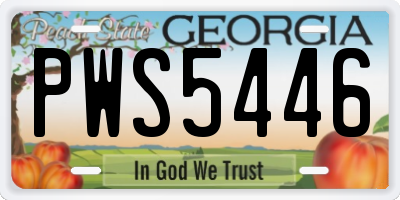 GA license plate PWS5446