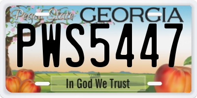 GA license plate PWS5447