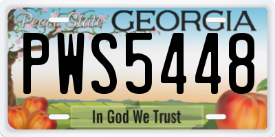 GA license plate PWS5448