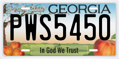 GA license plate PWS5450