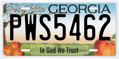 GA license plate PWS5462