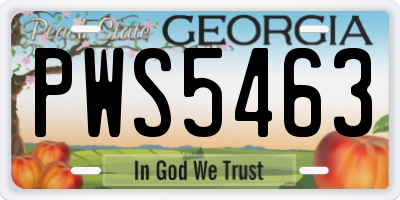 GA license plate PWS5463