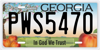 GA license plate PWS5470