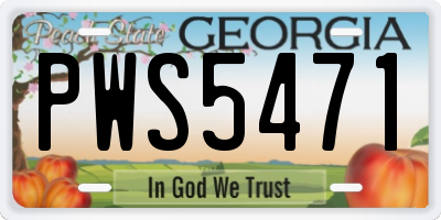 GA license plate PWS5471