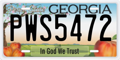 GA license plate PWS5472