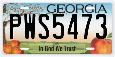 GA license plate PWS5473