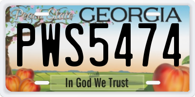GA license plate PWS5474