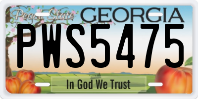 GA license plate PWS5475