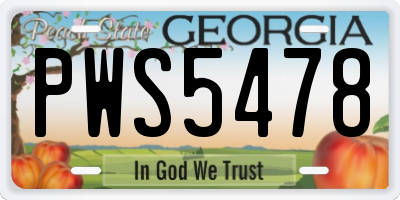 GA license plate PWS5478