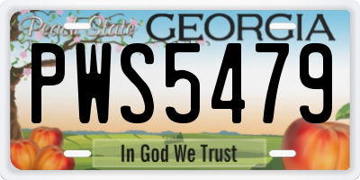 GA license plate PWS5479
