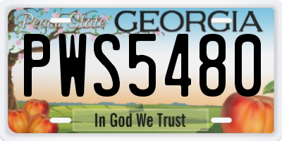 GA license plate PWS5480