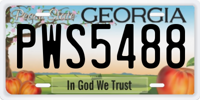 GA license plate PWS5488