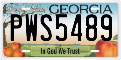 GA license plate PWS5489