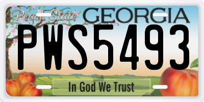 GA license plate PWS5493