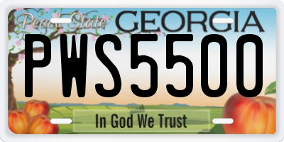 GA license plate PWS5500