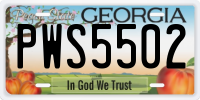 GA license plate PWS5502