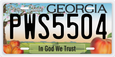 GA license plate PWS5504